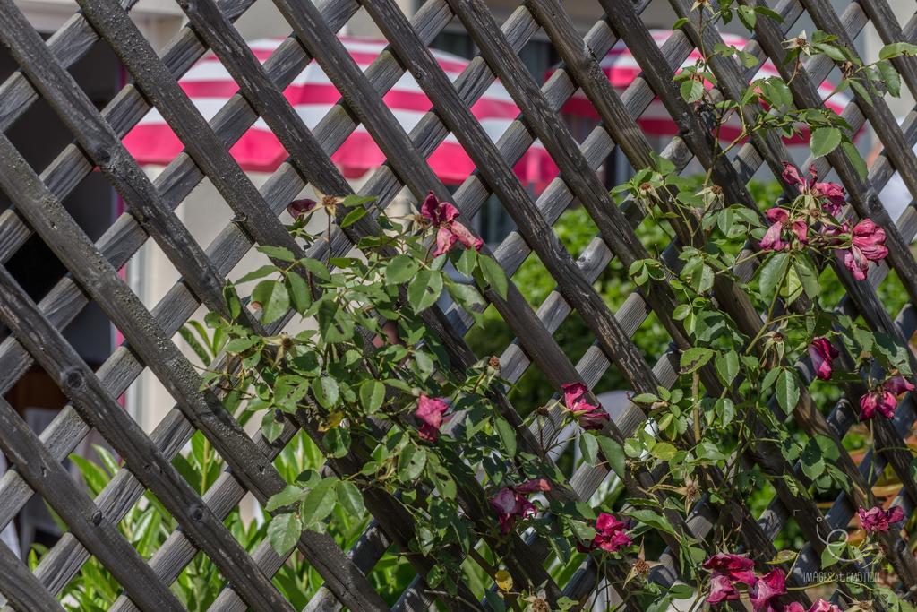 Atlantic Residence ジョンザック エクステリア 写真